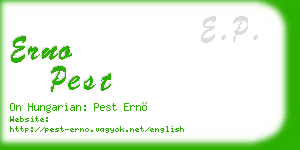 erno pest business card