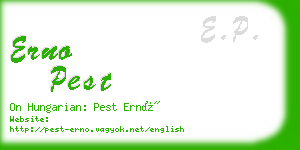 erno pest business card